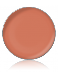 Lipstick color №49 (lipstick in refills), diam. 26 cm